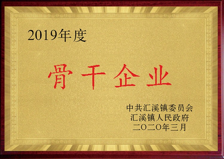 2019年度骨干企業(yè)