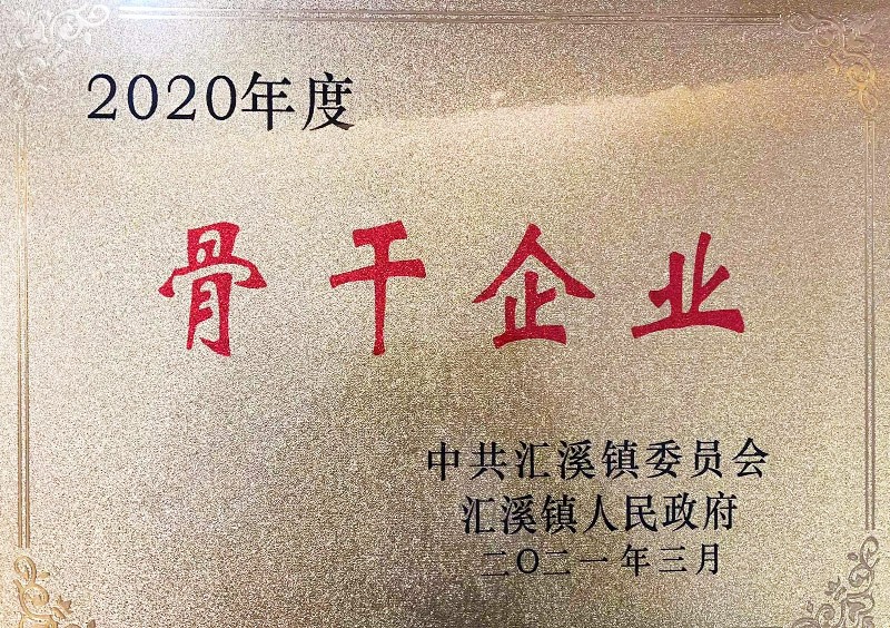 2020年度骨干企業(yè)
